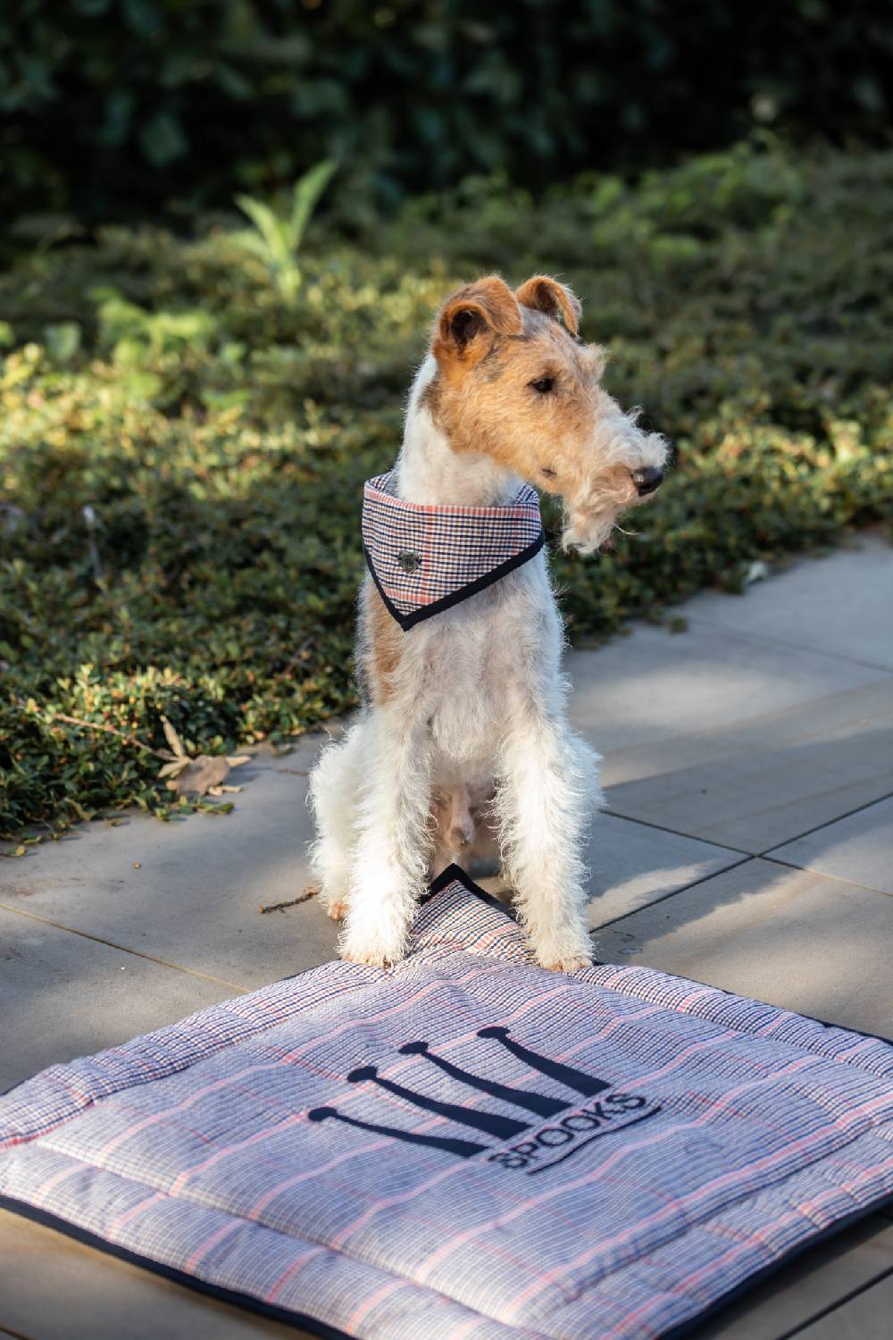 Spooks Dog Bandana Pippa Rabatt