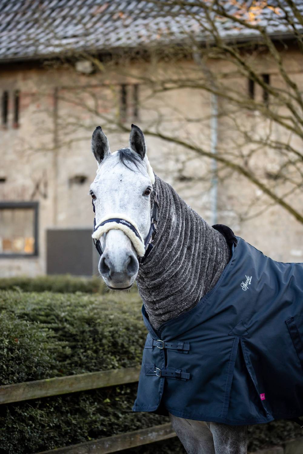 Spooks Horse Loop Weihnachtsangebot