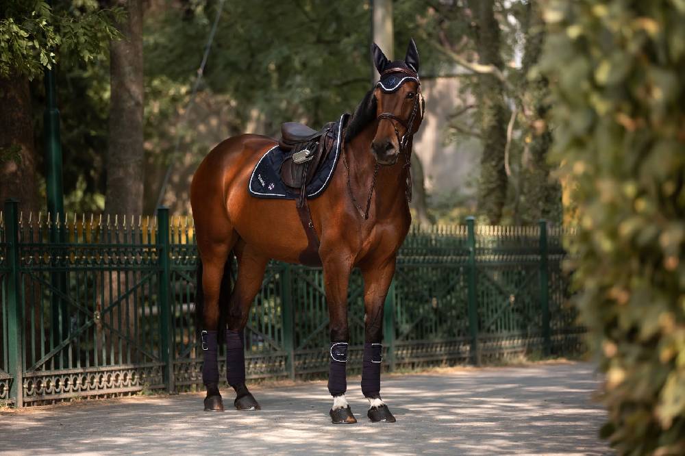 Spooks Dressage Pad Roxie