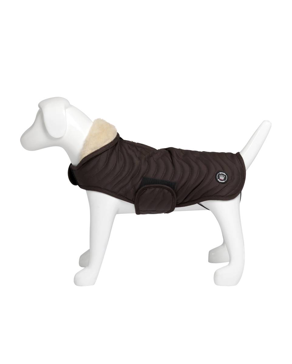 Spooks Dog Coat Classic II