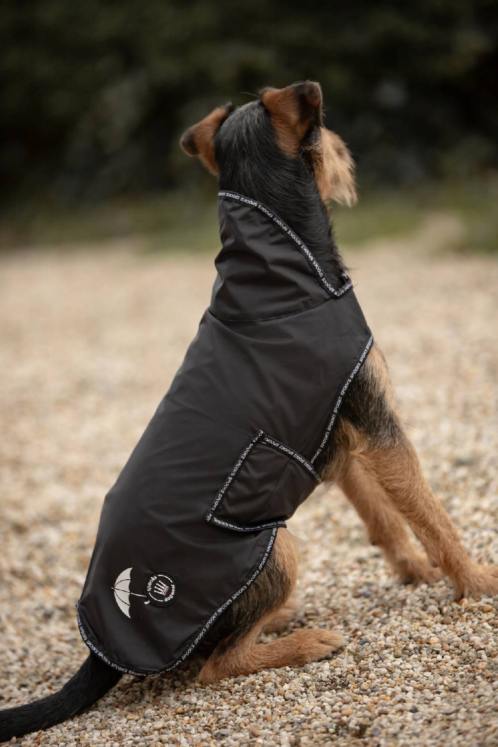 Spooks Dog Rain Coat II