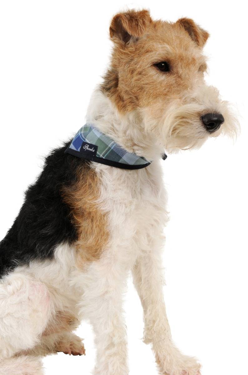 Spooks Dog Necker Chief