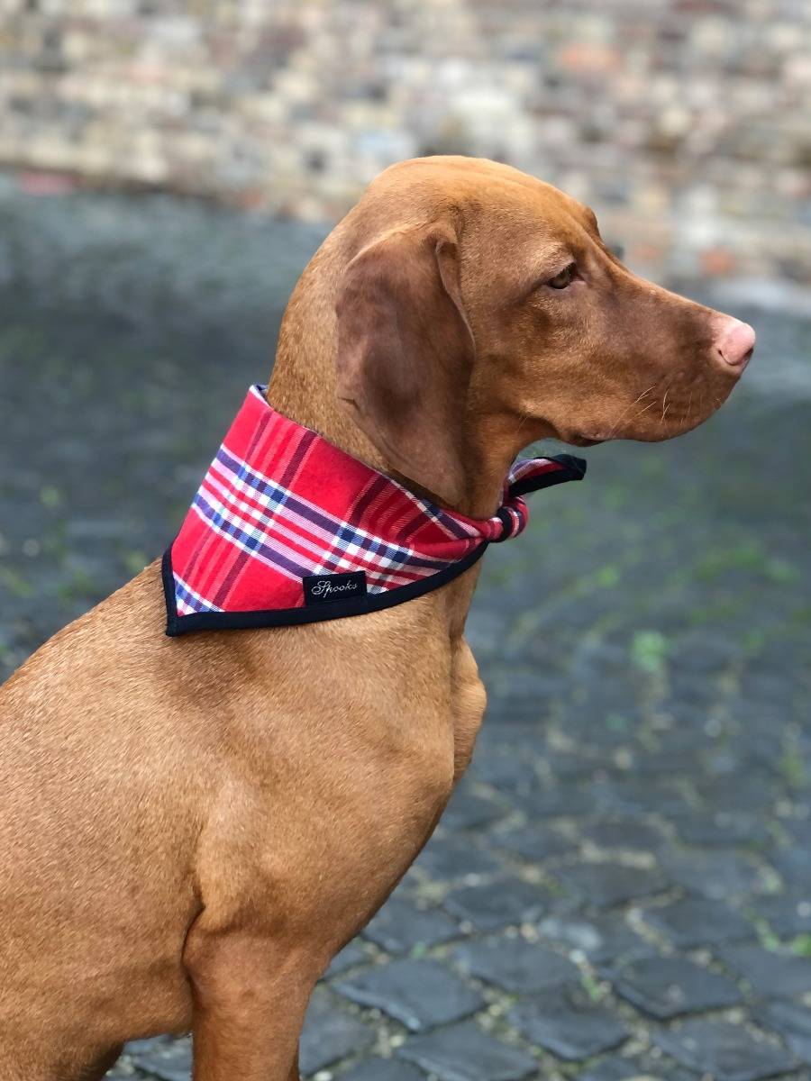 Spooks Dog Necker Chief