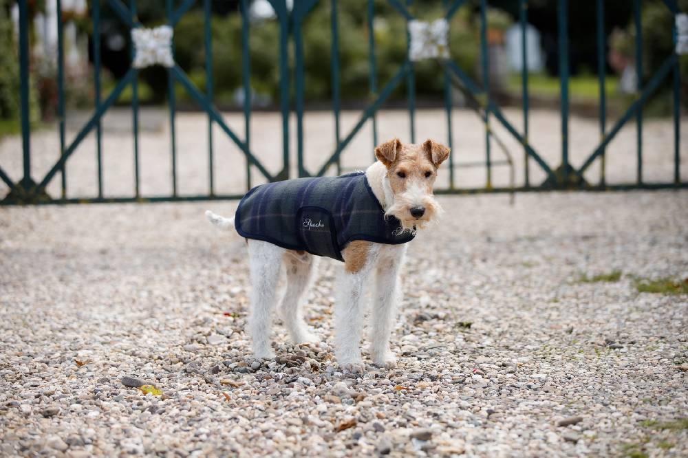 Spooks Dog Coat Olssi Nur noch ein Tag übrig