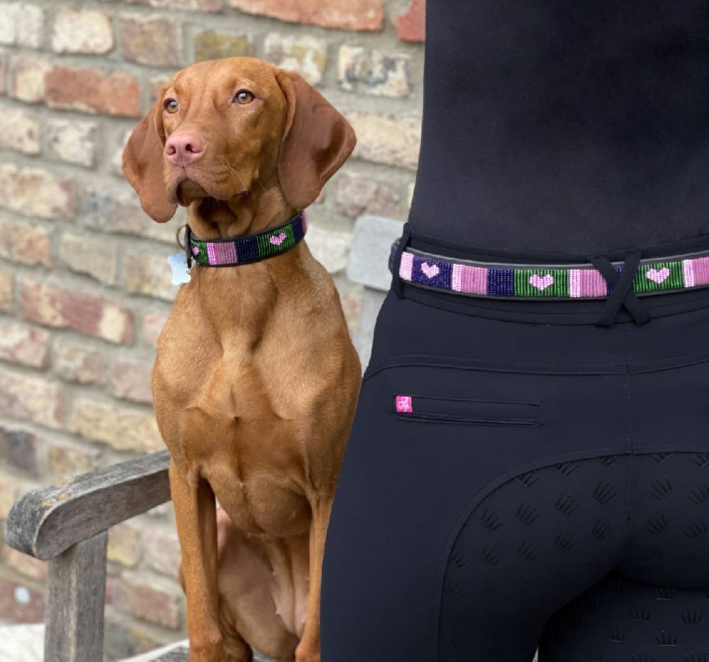 Spooks Hundehalsband Beads 50% Rabatt mit kostenlosem Versand