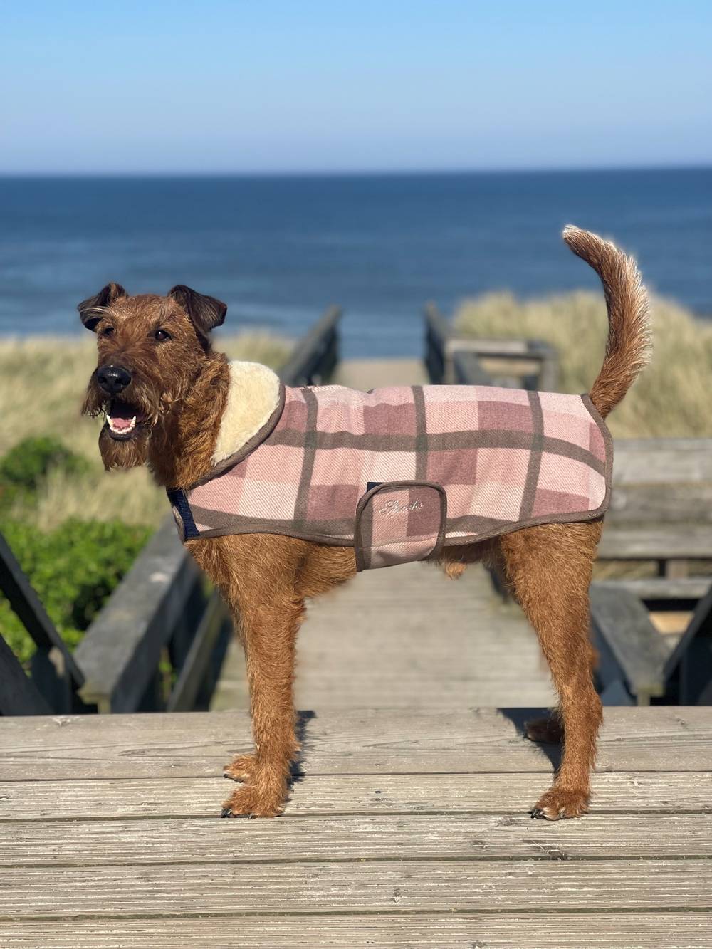 Spooks Dog Coat Olssi Clearance-Verkauf
