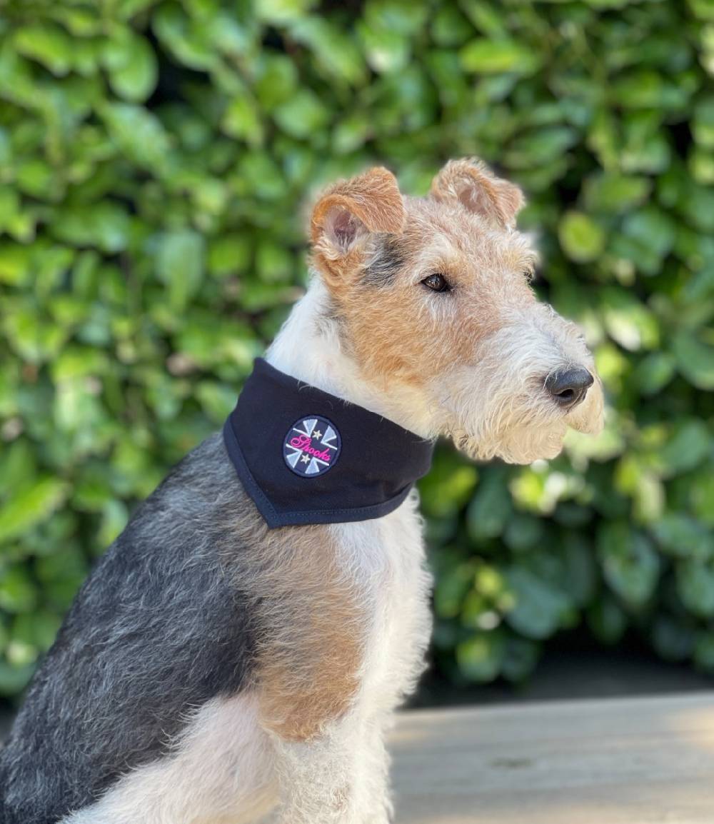Spooks Dog Bandana