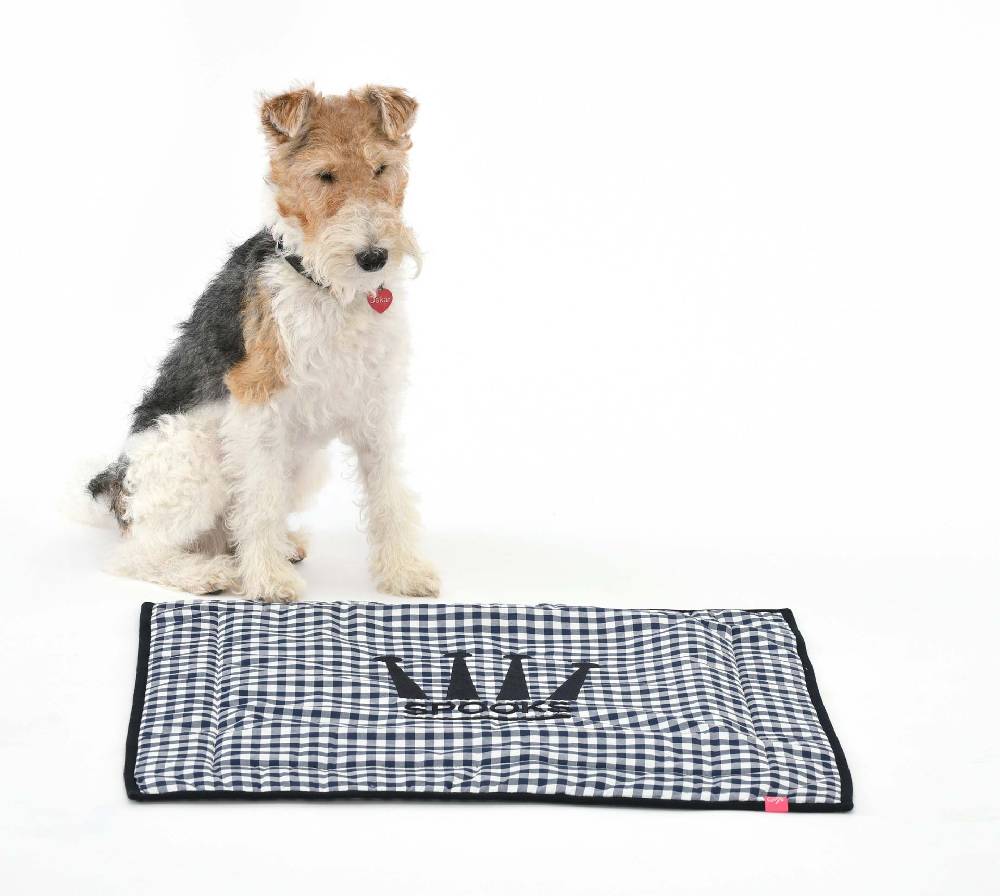 Spooks Dog Plaid 60 x 65 cm