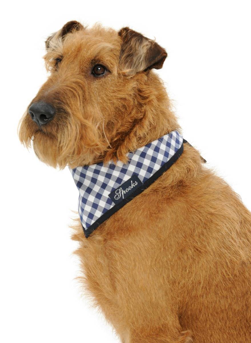 Spooks Dog Necker Chief Rabatte dieses Monats
