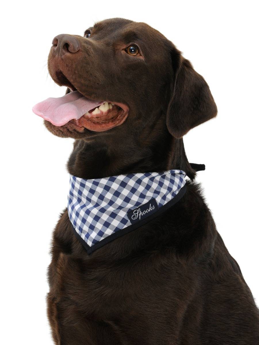 Spooks Dog Necker Chief Rabatte dieses Monats