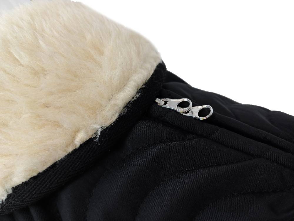Spooks Dog Coat Classic II Online