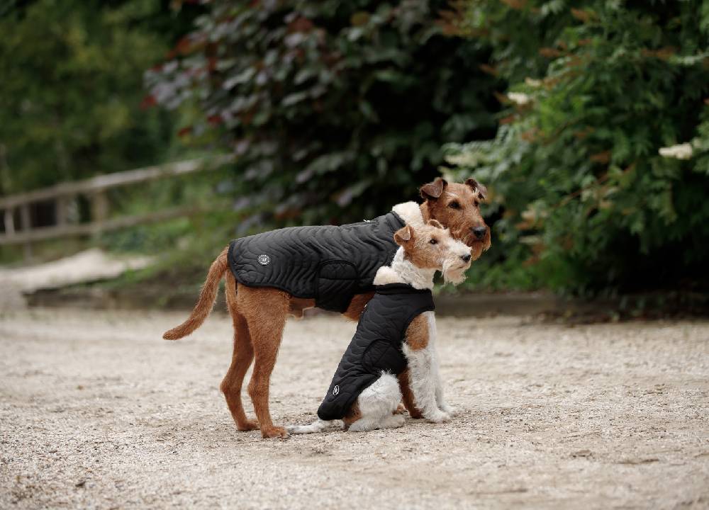 Spooks Dog Coat Classic II Online