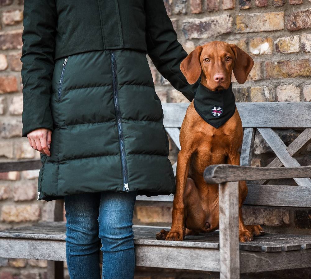 Spooks Dog Bandana Outlet