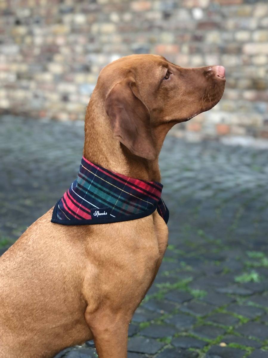 Spooks Dog Necker Chief