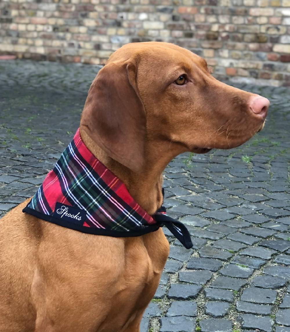Spooks Dog Necker Chief