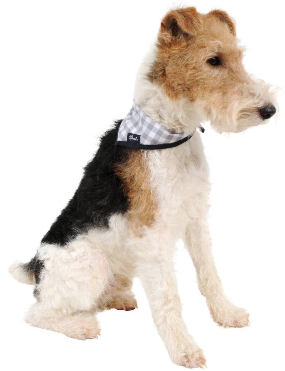 Spooks Dog Necker Chief