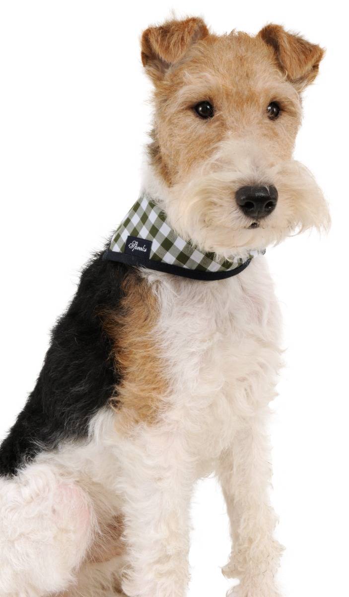 Spooks Dog Necker Chief