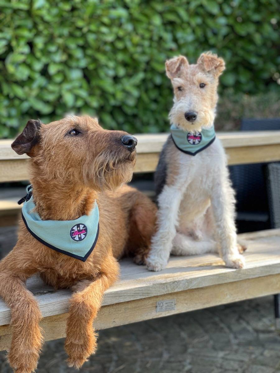 Spooks Dog Bandana Blitzverkäufe