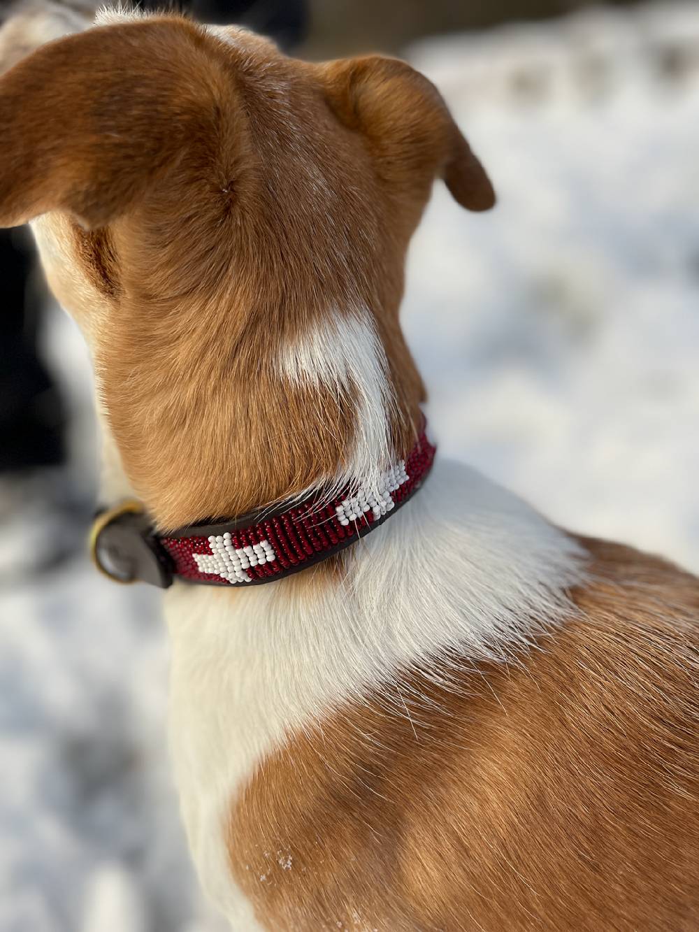 Spooks Dog Collar Beads Fabrik Onlineshop