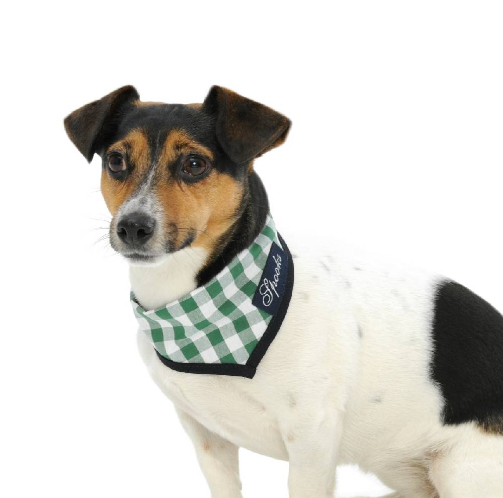 Spooks Dog Necker Chief Online Shopping