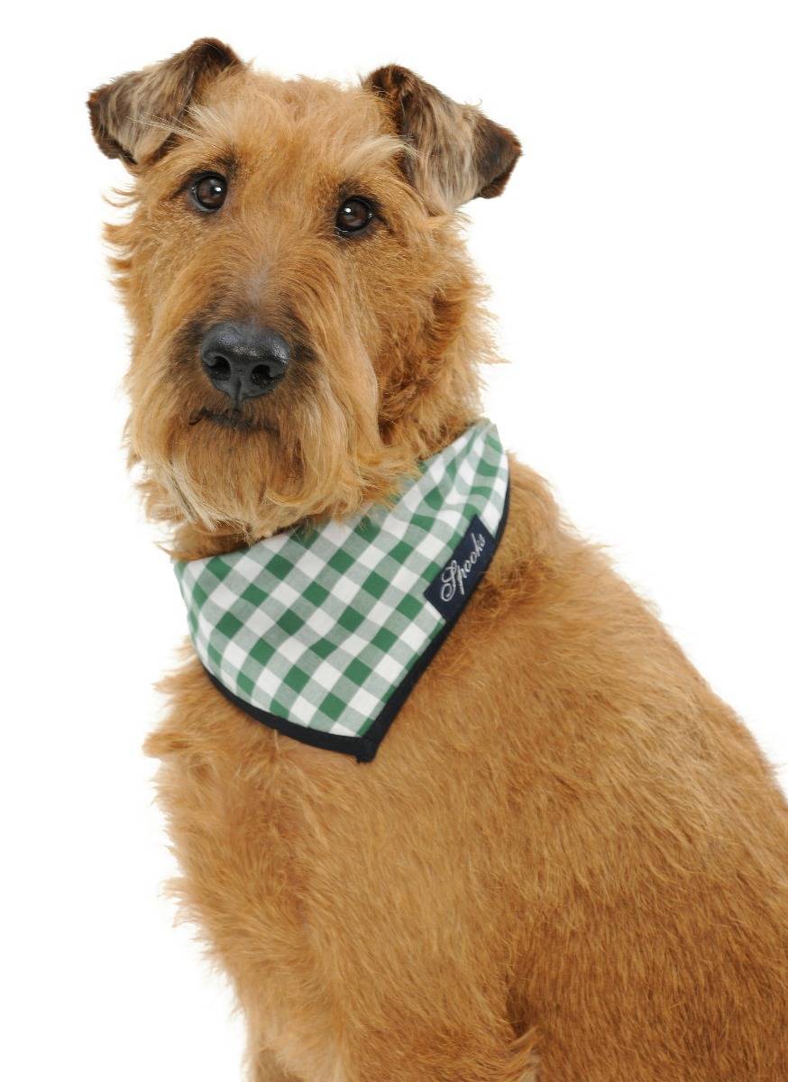 Spooks Dog Necker Chief Online Shopping