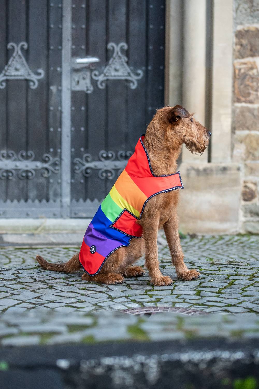 Spooks Dog Rain Coat Preisnachlass