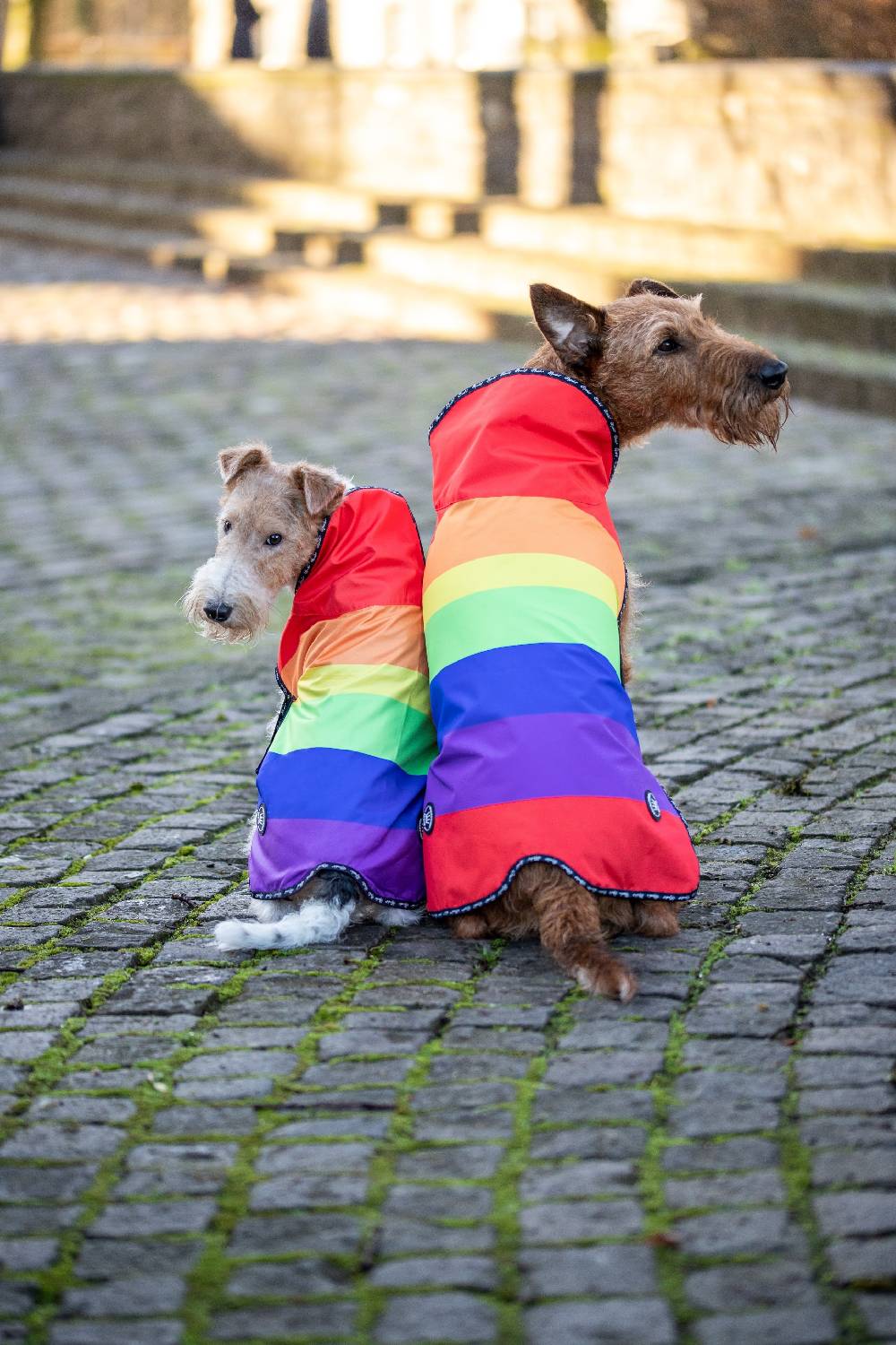 Spooks Dog Rain Coat Preisnachlass