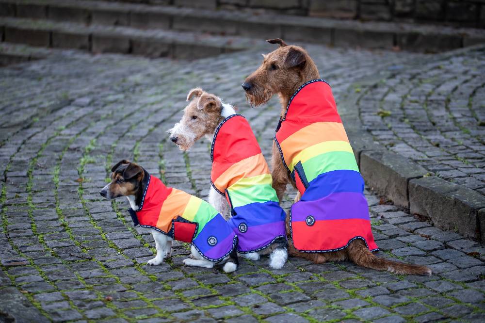 Spooks Dog Rain Coat Preisnachlass