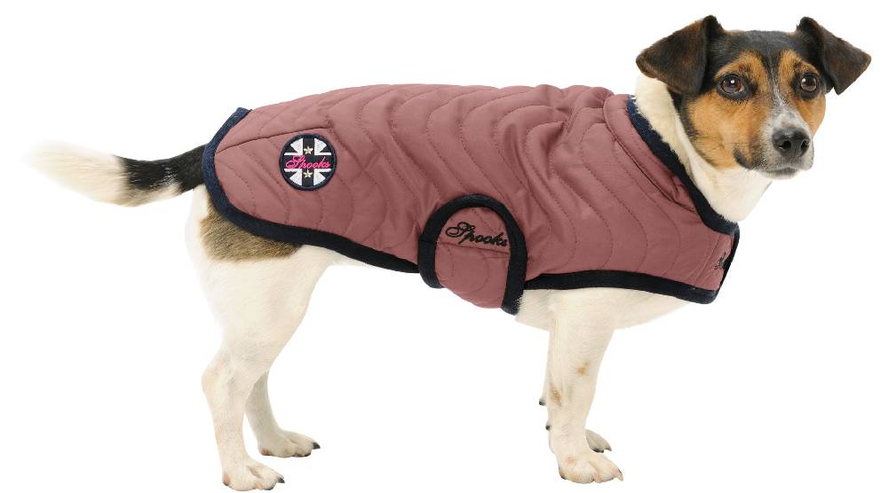 Spooks Dog Coat Classic Saisonschlussverkauf