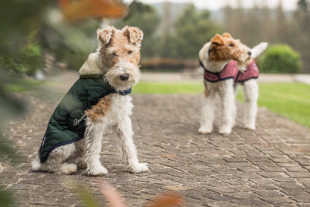 Spooks Dog Coat Classic Saisonschlussverkauf