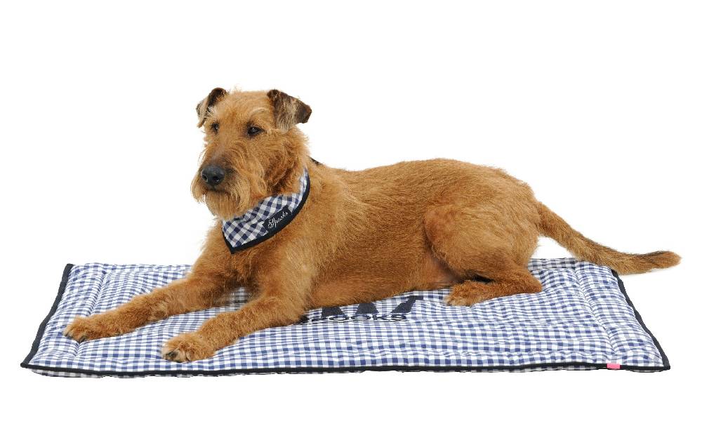 Spooks Dog Plaid 100 x 73 cm Cyber Monday