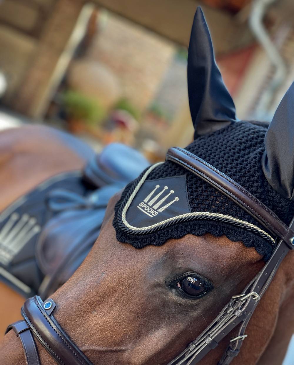 Spooks Fly Hat Crown Shiny Bestseller