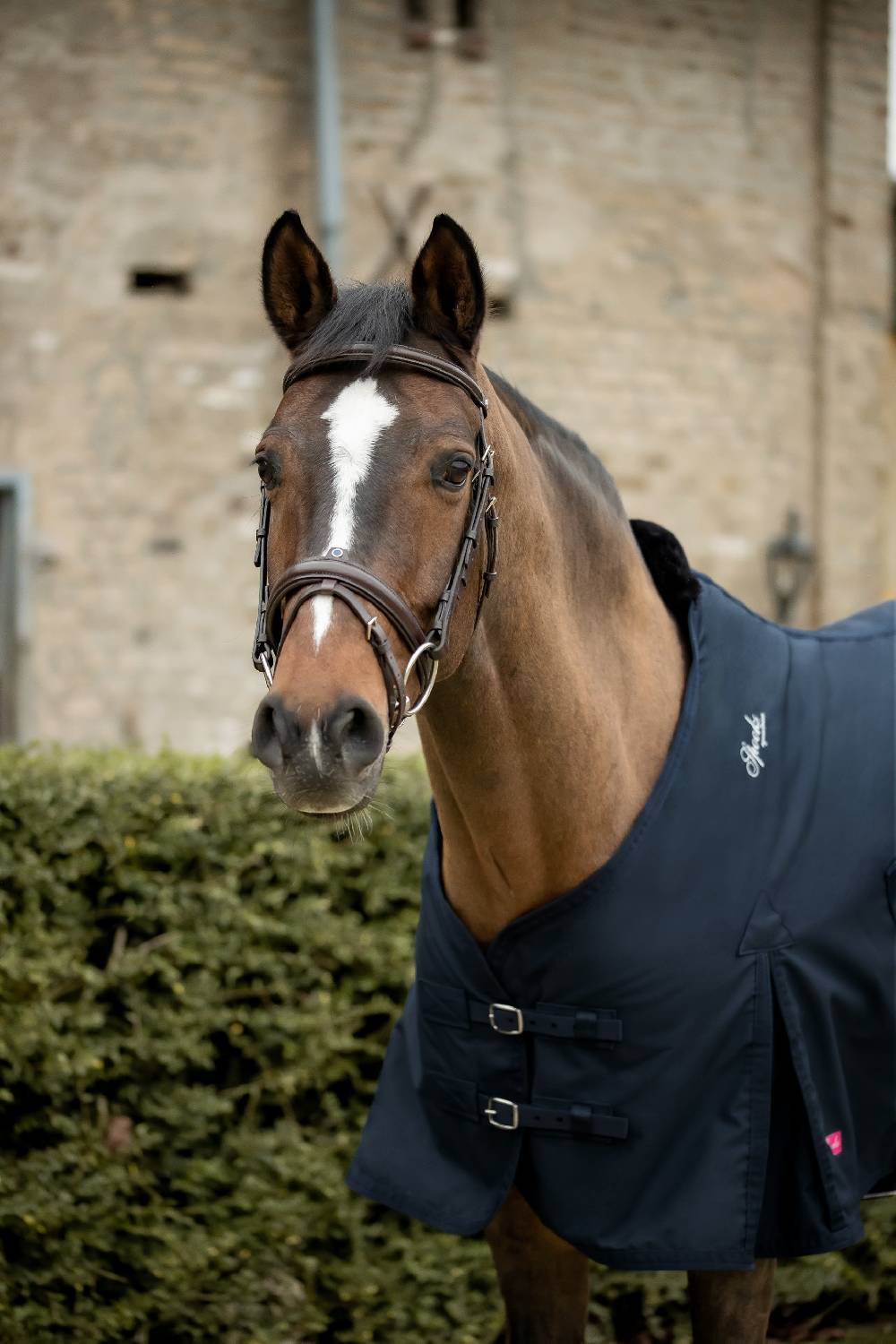 Spooks Stable Rug Cellia 0g