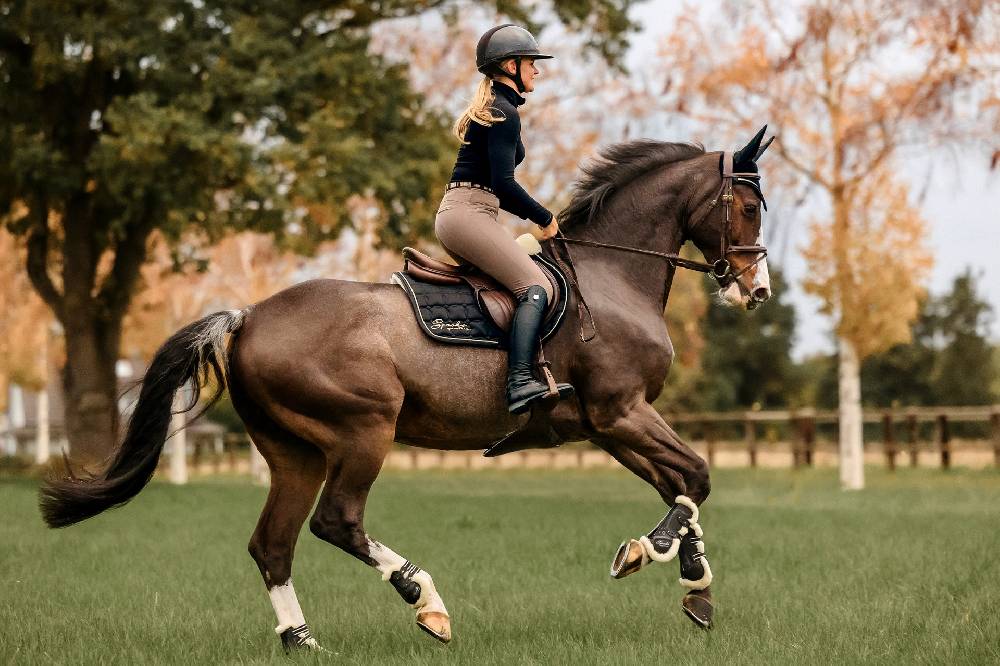 Spooks Tendon Boots Teddy Angebote