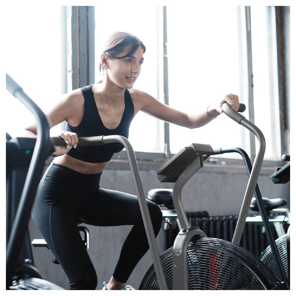 Sport Tec ASSAULT FITNESS AirBike Elite Günstig kaufen