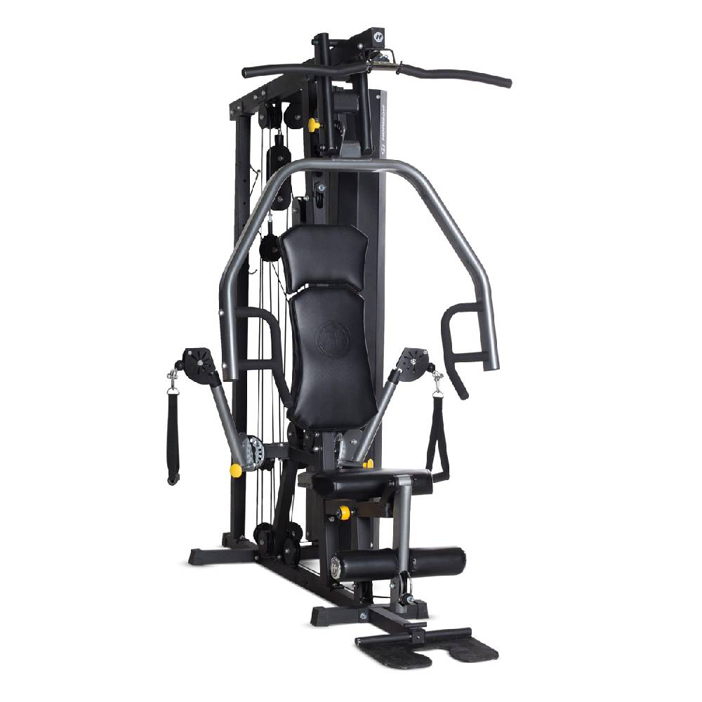 Sport Tec Horizon Fitness Kraftstation Torus 3