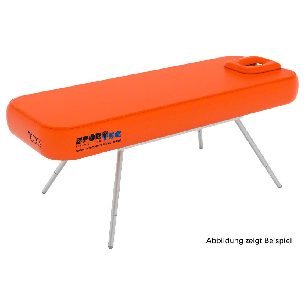 Sport Tec Personalisierbares Printlogo für NUBIS Massageliege/Chair, HxB ca. 10x30 cm Online