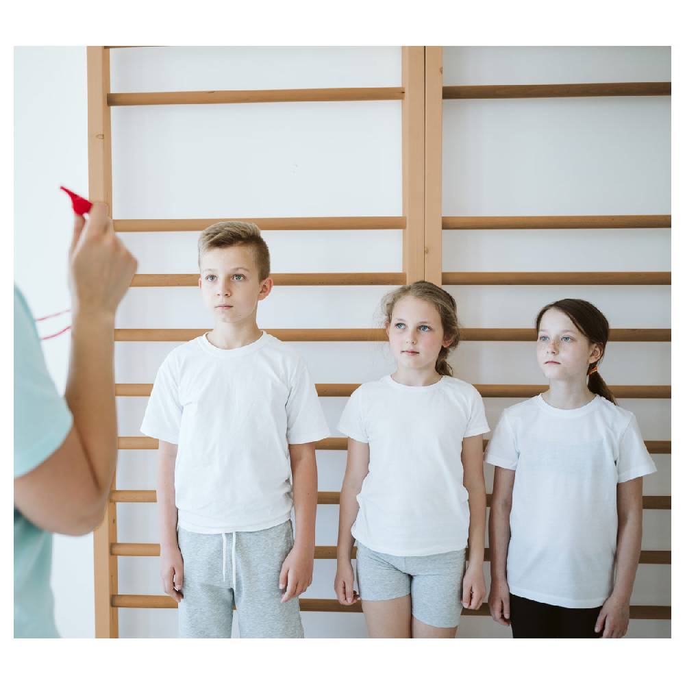 Sport Tec Sprossenwand Standard, BxH 80x230 cm, 10 Sprossen, inkl. Übungsposter Online Shopping