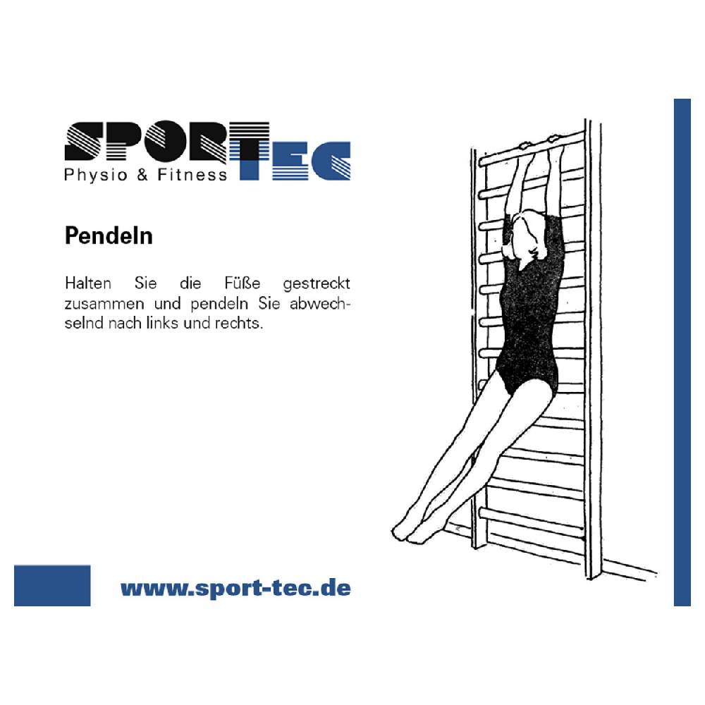 Sport Tec Sprossenwand nach DIN, BxH 200x260 cm, 2 Felder, je 16 Sprossen Preisnachlass