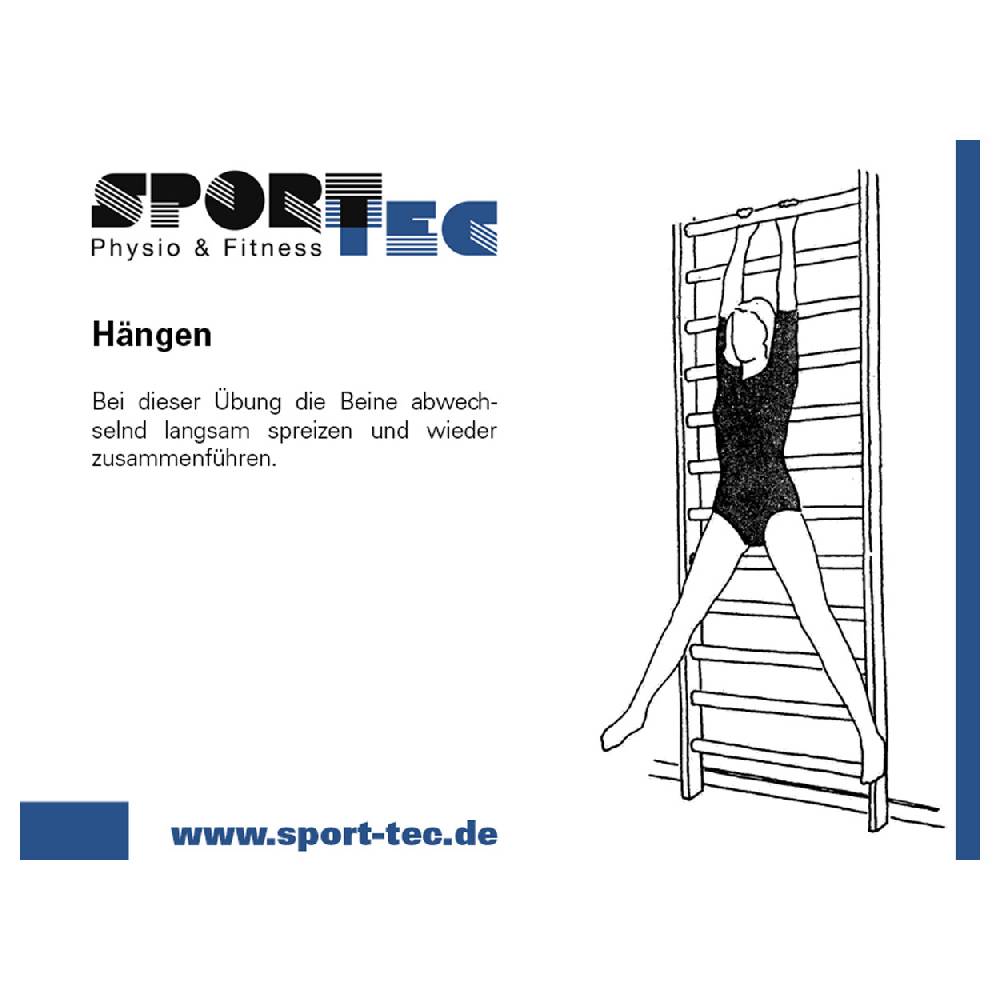 Sport Tec Sprossenwand, BxH 80x230 cm, 14 Sprossen Black Friday