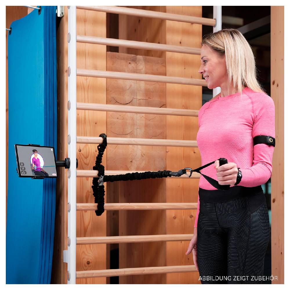 Sport Tec Sprossenwand Set Metall / Holz, 2-tlg. inkl. Schlingengitter Jubiläumsangebot