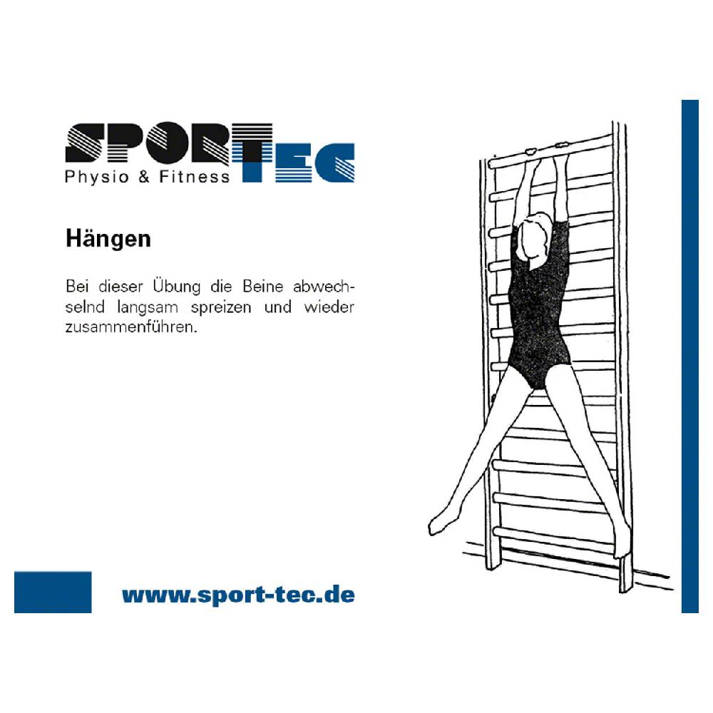Sport Tec Sprossenwand Kombination-Set, komplett, 3-tlg Lagerräumung