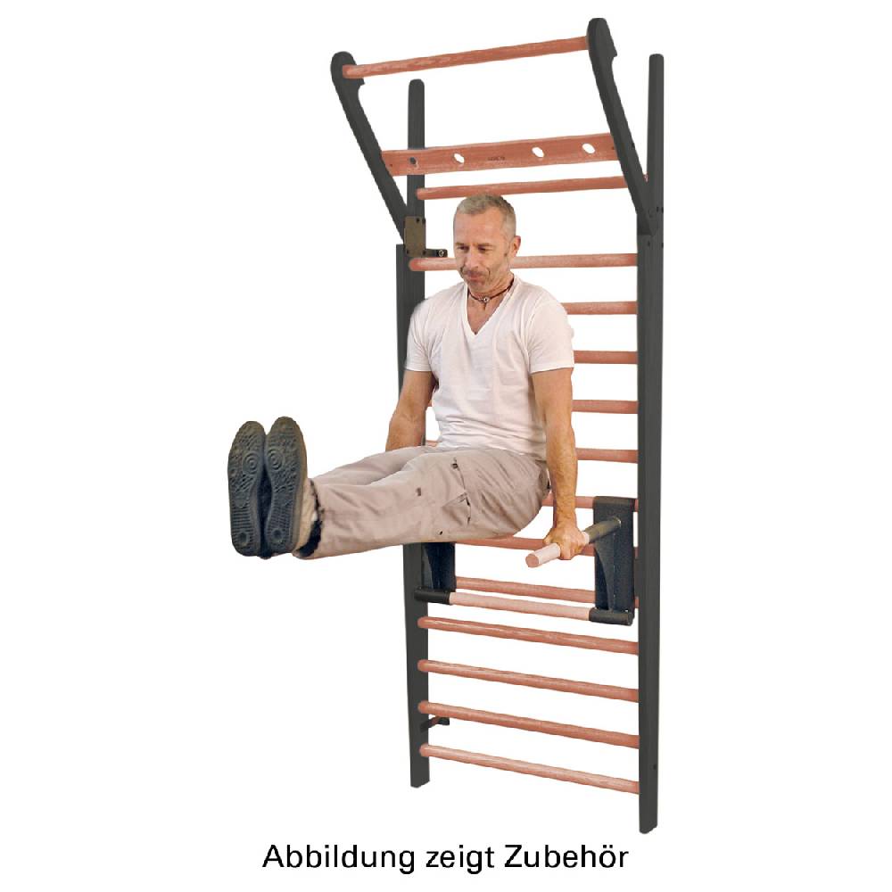 Sport Tec NOHrD Multi-Adapter Club-Sport Klimmzugbügel und Dipstation für Sprossenwand Neueste Mode
