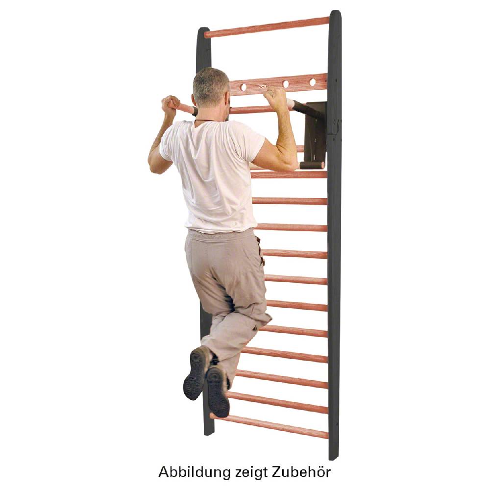 Sport Tec NOHrD Multi-Adapter Club-Sport Klimmzugbügel und Dipstation für Sprossenwand Neueste Mode