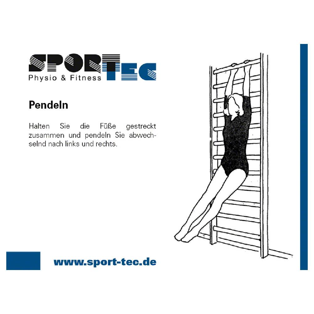 Sport Tec Sprossenwand Kombination-Set, komplett, 3-tlg Saisonschlussverkauf