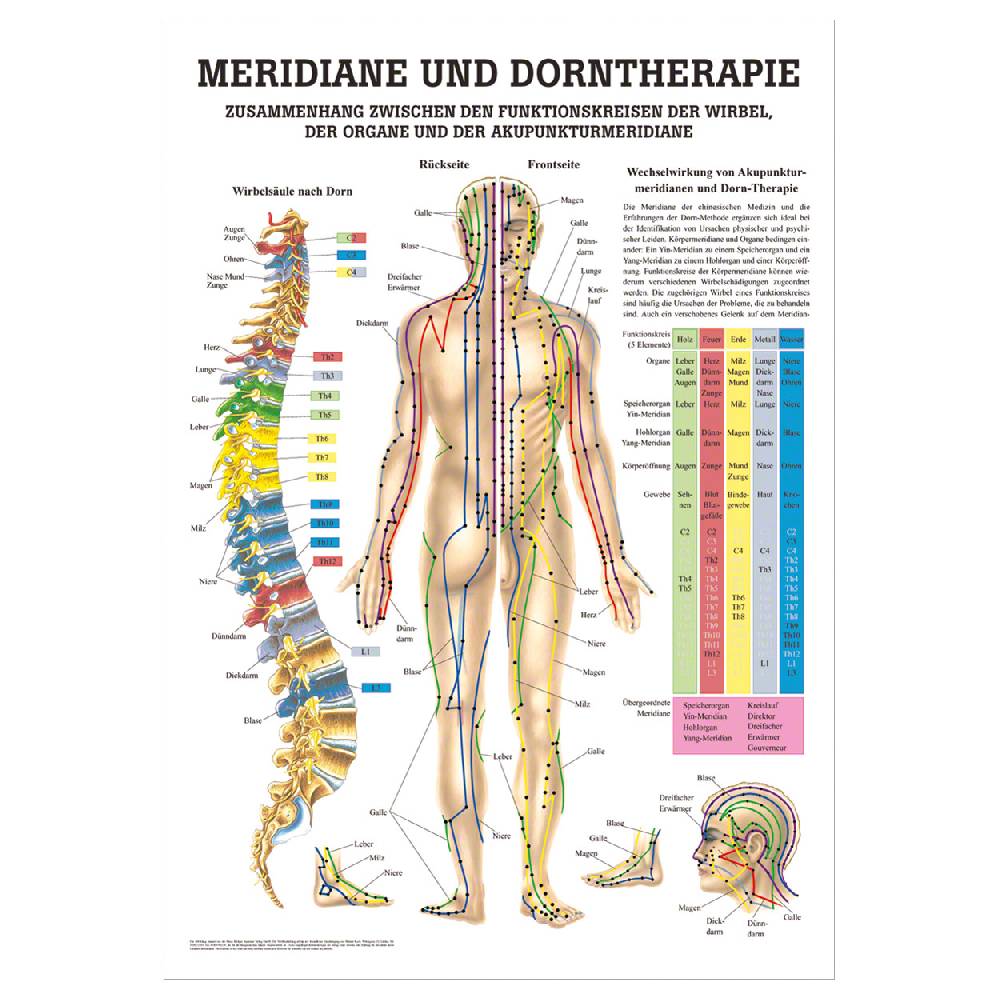 Sport Tec Mini-Poster "Meridiane u. Dorn", LxB 34x24 cm Muttertagsangebot