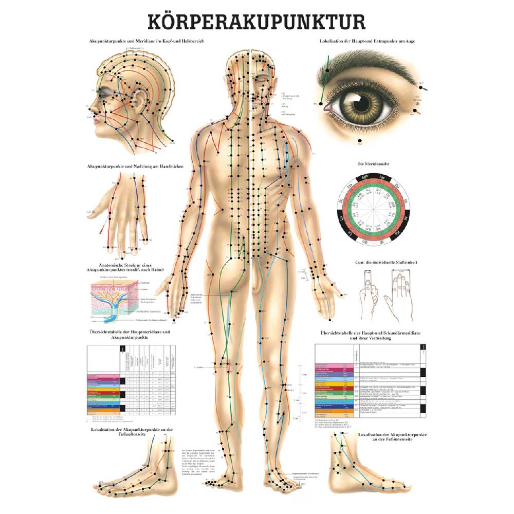 Sport Tec Mini-Poster "Akupunktur", LxB 34x24 cm