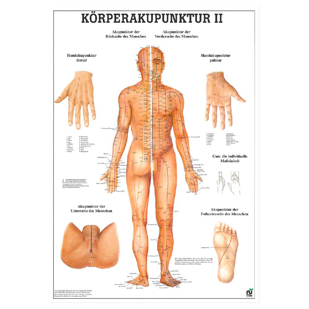 Sport Tec Mini-Poster "Körperakupunktur II", LxB 34x24 cm Tägliche Deals