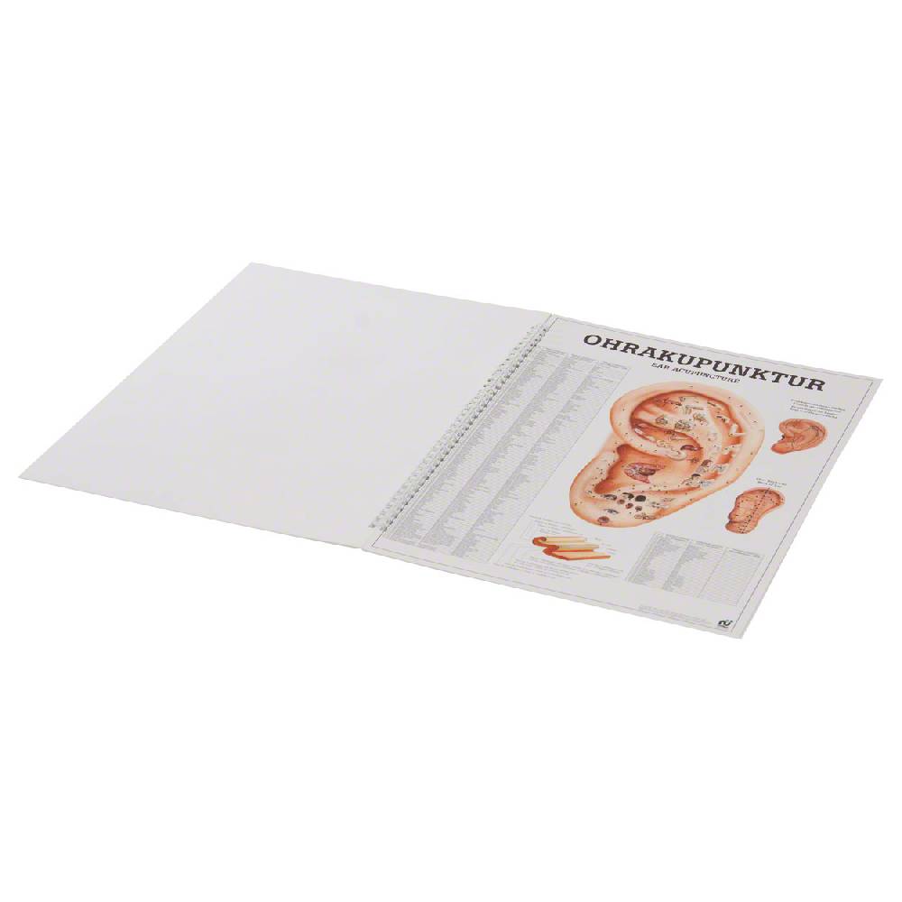 Sport Tec Mini-Poster Booklet "Akupunktur des Menschen", LxB 34x24 cm, 12 Poster Outlet