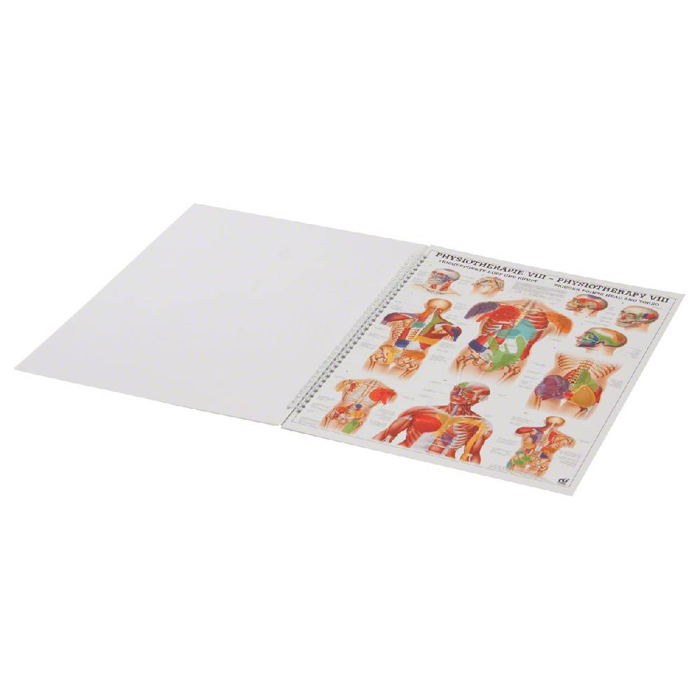 Sport Tec Mini-Poster Booklet "Physiotherapie des Menschen", LxB 34x24 cm, 12 Poster Auslauf